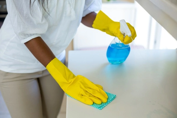 Professional cleaning service Professional cleaning service